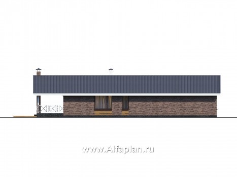 «Эвтерпа» - проект одноэтажного дома, 3 спальни, с террасой и двускатной крышей, для узкого участка - превью фасада дома
