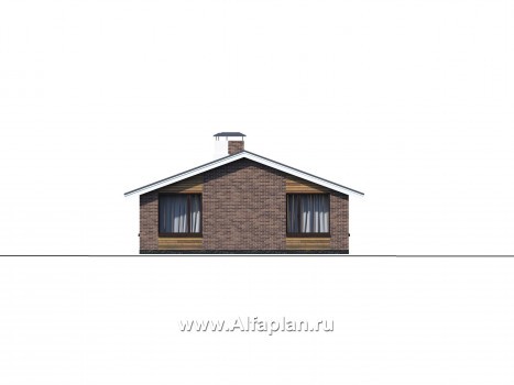 «Эвтерпа» - проект одноэтажного дома, 3 спальни, с террасой и двускатной крышей, для узкого участка - превью фасада дома