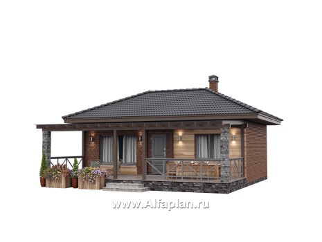 Проект гостевого дома с одной спальней или с сауной, с террасой - превью дополнительного изображения №1