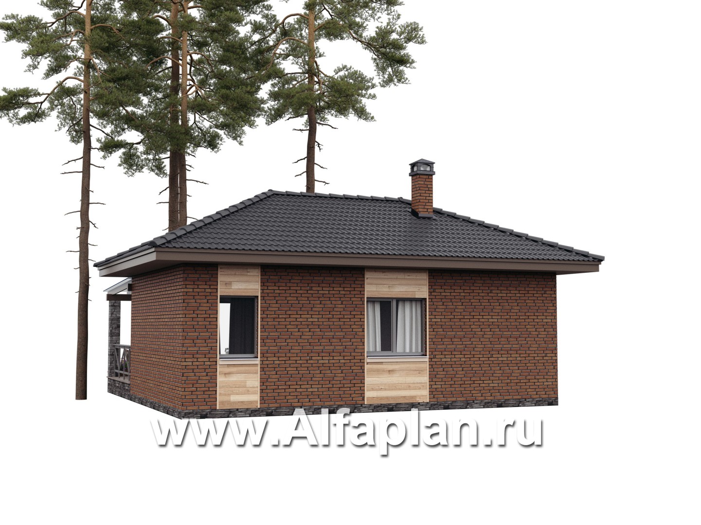 Проект бани, каркасный дом, с большой террасой  - дизайн дома №2