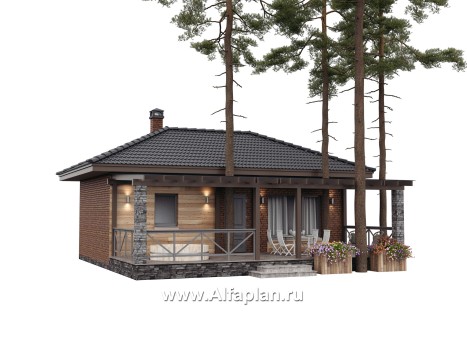 Проект бани, каркасный дом, с большой террасой  - превью дополнительного изображения №1