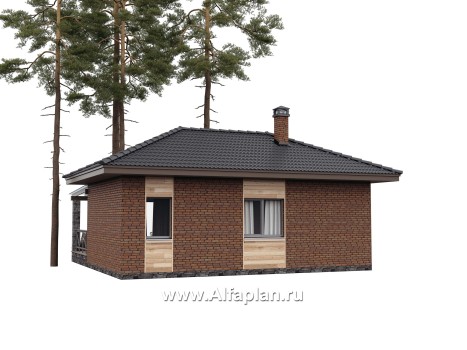 Проект бани, каркасный дом, с большой террасой  - превью дополнительного изображения №2