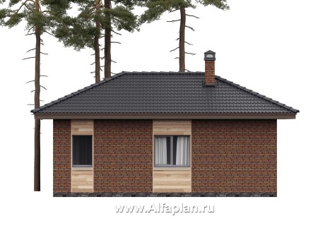 Проект бани, каркасный дом, с большой террасой  - превью дополнительного изображения №4