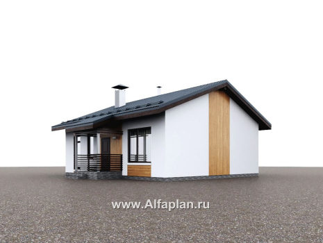 «Литен» - проект простого одноэтажного дома, планировка 2 спальни, с двускатной крышей - превью дополнительного изображения №1