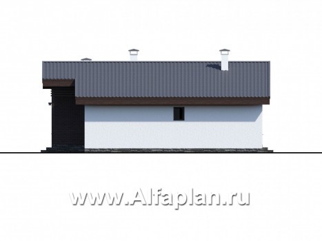 «Альфа» - проект одноэтажного дома, с сауной и с террасой в скандинавском стиле - превью фасада дома