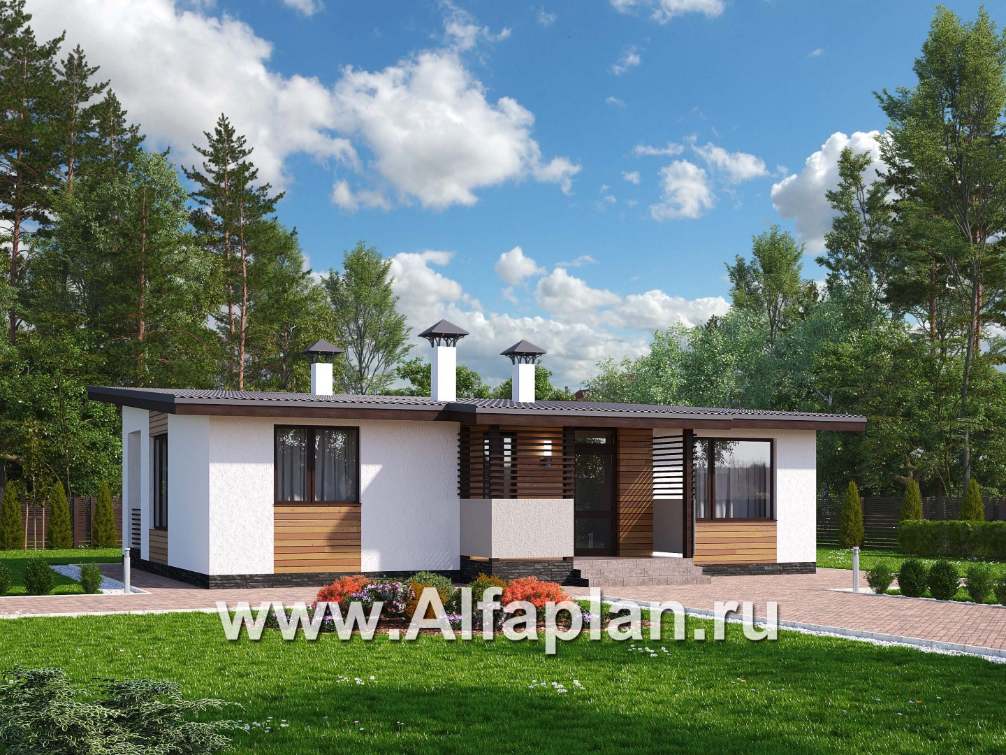 «Зита» -  проект одноэтажного дома, с террасой, в скандинавском стиле - основное изображение
